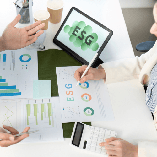 Sustainability Consulting (ESG)